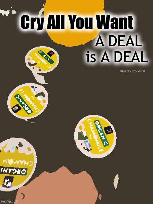 Cry all you want a deal is a deal | Cry All You Want; A DEAL is A DEAL; SHAREEN HAMMOUD | image tagged in deal,dealornodeal,quotes,sheezybenz,dealingquotes,trustnoone | made w/ Imgflip meme maker