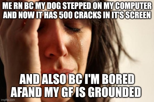 First World Problems | ME RN BC MY DOG STEPPED ON MY COMPUTER AND NOW IT HAS 500 CRACKS IN IT'S SCREEN; AND ALSO BC I'M BORED AFAND MY GF IS GROUNDED | image tagged in memes,first world problems | made w/ Imgflip meme maker