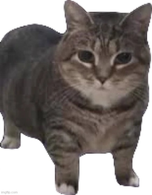 just dont say nothing | image tagged in nothing | made w/ Imgflip meme maker