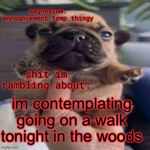 it’s raining too which makes it better | im contemplating going on a walk tonight in the woods | image tagged in pug temp | made w/ Imgflip meme maker
