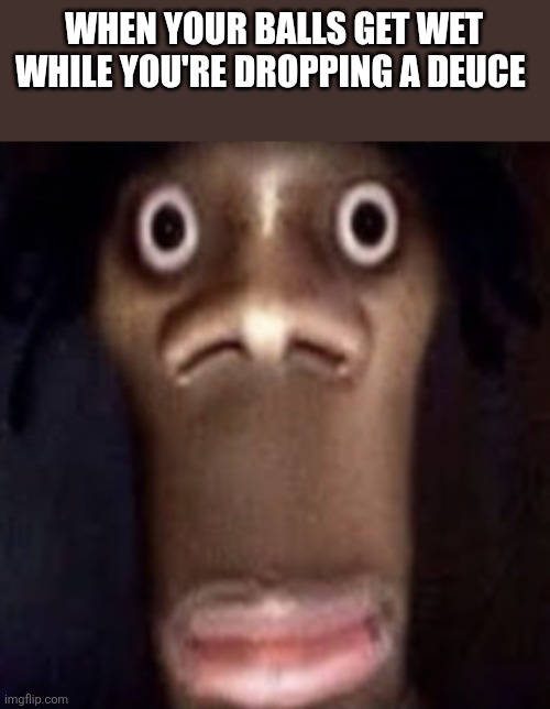 Nasty | WHEN YOUR BALLS GET WET WHILE YOU'RE DROPPING A DEUCE | image tagged in quandale dingle,poop,toilet humor | made w/ Imgflip meme maker