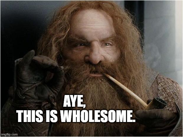 Gimli | AYE,
 THIS IS WHOLESOME. | image tagged in gimli | made w/ Imgflip meme maker