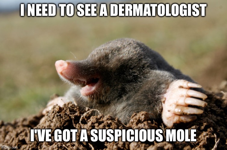 mole wat | I NEED TO SEE A DERMATOLOGIST; I'VE GOT A SUSPICIOUS MOLE | image tagged in mole wat | made w/ Imgflip meme maker