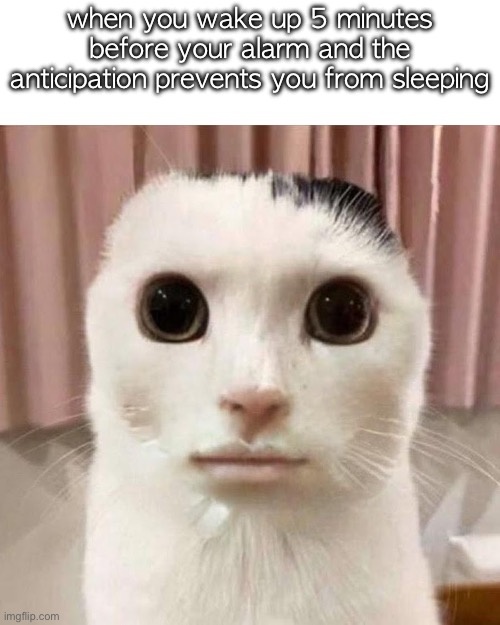 My honest reaction | when you wake up 5 minutes before your alarm and the anticipation prevents you from sleeping | image tagged in my honest reaction | made w/ Imgflip meme maker