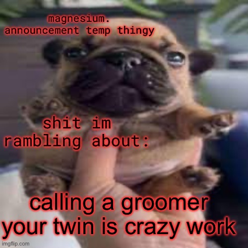 pug temp | calling a groomer your twin is crazy work | image tagged in pug temp | made w/ Imgflip meme maker