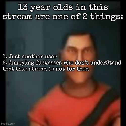 Disappointed Scout | 13 year olds in this stream are one of 2 things:; 1. Just another user
2. Annoying fuckasses who don’t underStand that this stream is not for them | image tagged in disappointed scout,msmg | made w/ Imgflip meme maker