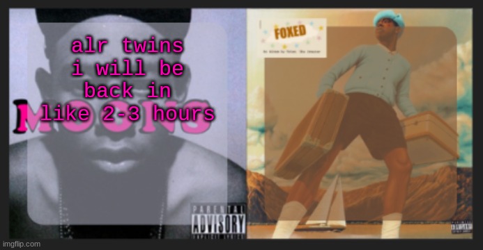 moons and foxed shared temp | alr twins i will be back in like 2-3 hours | image tagged in moons and foxed shared temp | made w/ Imgflip meme maker
