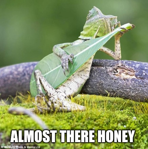 Lizard Music | ALMOST THERE HONEY | image tagged in lizard music | made w/ Imgflip meme maker