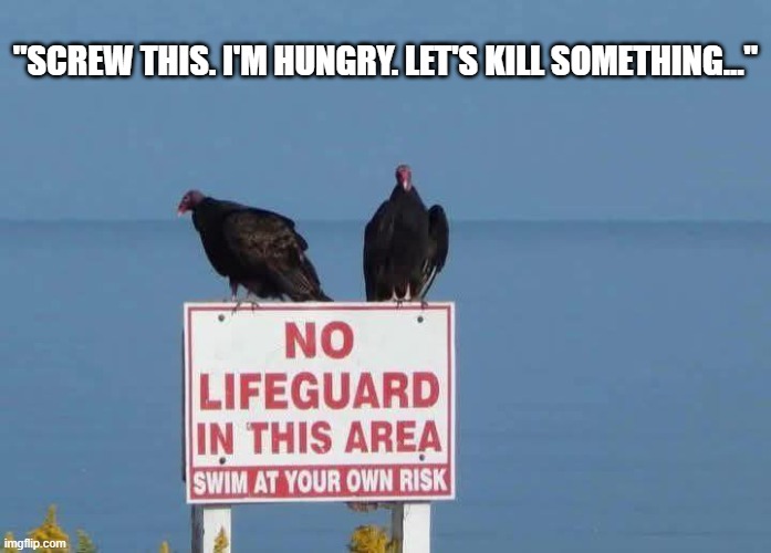 Impatient Vultures | "SCREW THIS. I'M HUNGRY. LET'S KILL SOMETHING..." | image tagged in vultures,no lifeguard | made w/ Imgflip meme maker