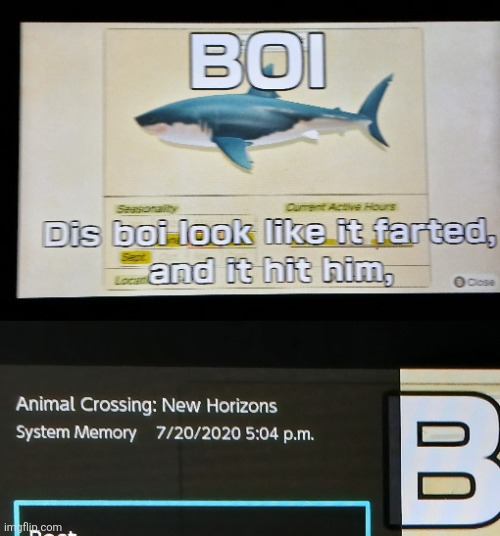 This actually sucks. | image tagged in animal crossing,nintendo switch | made w/ Imgflip meme maker
