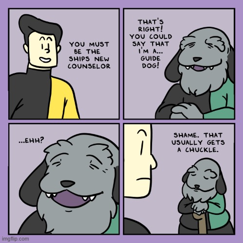 image tagged in stars,dog,guide,guide dog,joke,oof | made w/ Imgflip meme maker