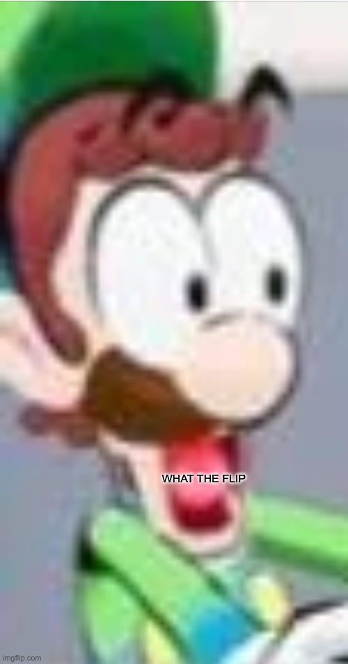 What the Flip Luigi Blank Meme Template