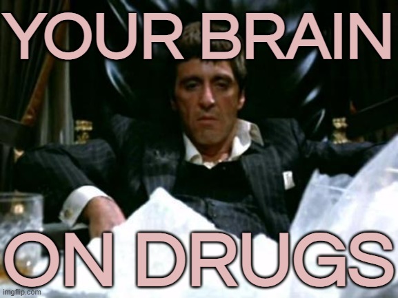 Your Brain On Drugs | YOUR BRAIN; ON DRUGS | image tagged in scarface cocaine,cocaine is a hell of a drug,cocaine,war on drugs,drugs,don't do drugs | made w/ Imgflip meme maker