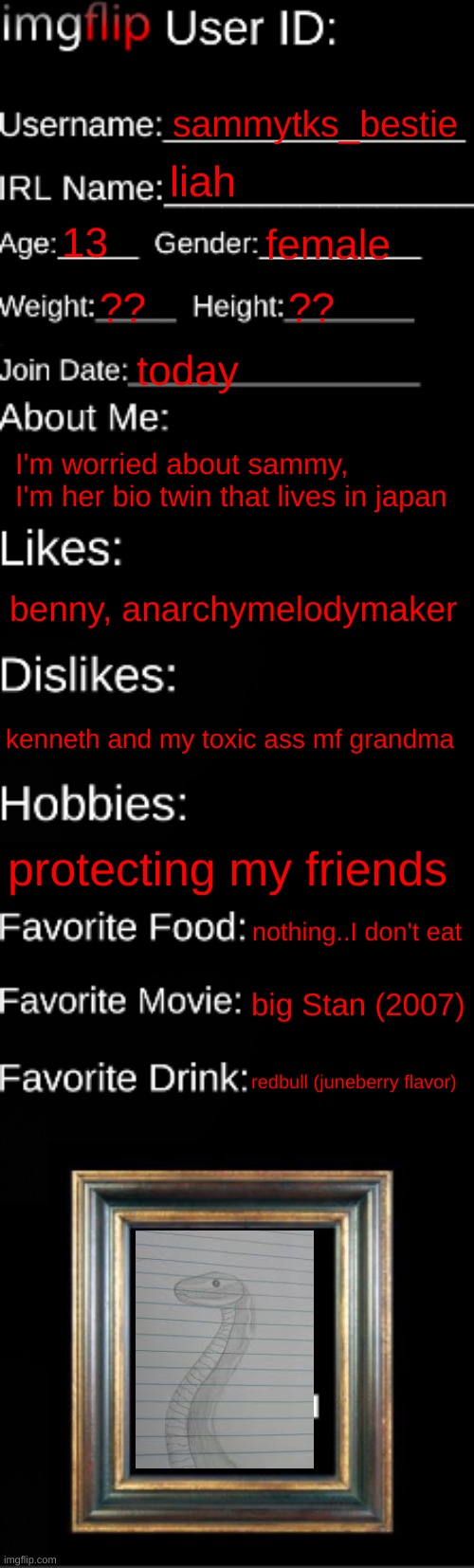 imgflip ID Card | sammytks_bestie; liah; 13; female; ?? ?? today; I'm worried about sammy, I'm her bio twin that lives in japan; benny, anarchymelodymaker; kenneth and my toxic ass mf grandma; protecting my friends; nothing..I don't eat; big Stan (2007); redbull (juneberry flavor) | image tagged in imgflip id card | made w/ Imgflip meme maker