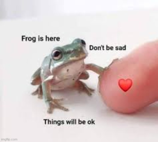 new fav temp | image tagged in froggy don't be sad | made w/ Imgflip meme maker