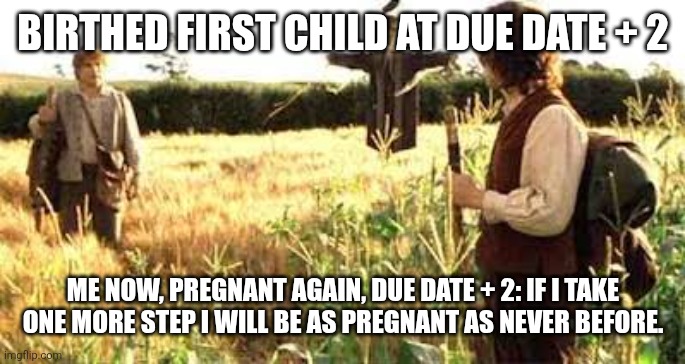 As pregnant as never before | BIRTHED FIRST CHILD AT DUE DATE + 2; ME NOW, PREGNANT AGAIN, DUE DATE + 2: IF I TAKE ONE MORE STEP I WILL BE AS PREGNANT AS NEVER BEFORE. | image tagged in if i take one more step mr frodo | made w/ Imgflip meme maker