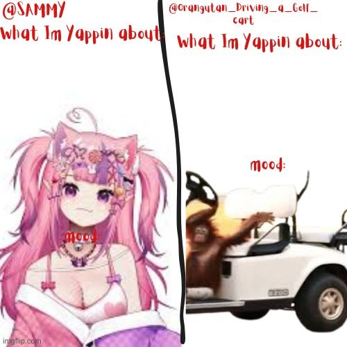 High Quality Sammy and orangutan shared temp Blank Meme Template