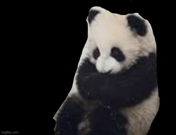 panda Blank Meme Template