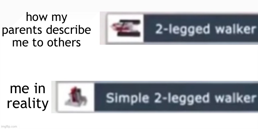 me irl | how my parents describe me to others; me in reality | image tagged in memes,me irl,relatable,self hate,real | made w/ Imgflip meme maker