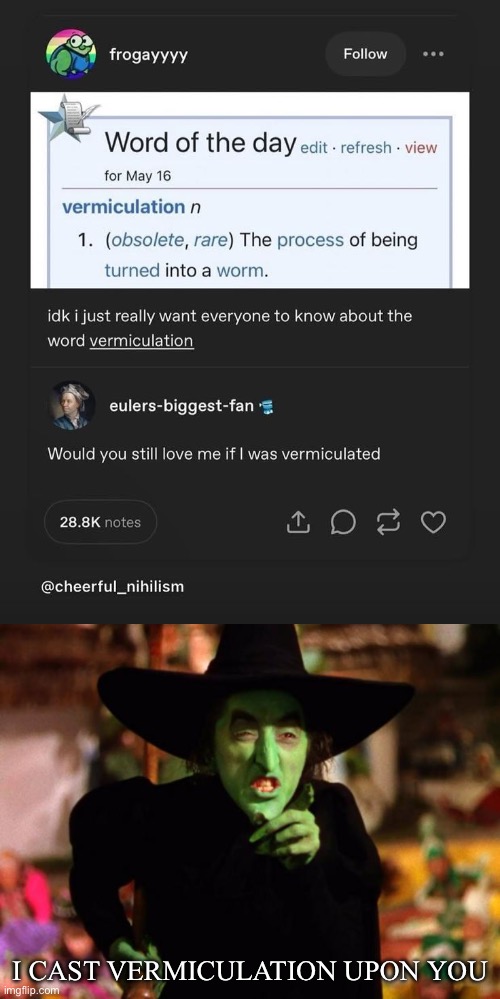 Spellbound | I CAST VERMICULATION UPON YOU | image tagged in wicked witch,spell,worm | made w/ Imgflip meme maker
