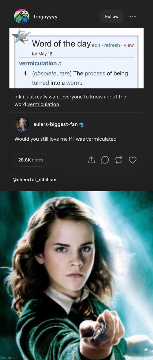 Vermiculation | image tagged in hermoine granger,worm,spell | made w/ Imgflip meme maker