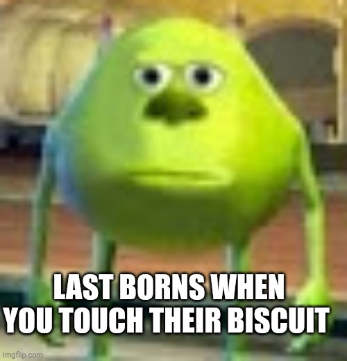 Sully Wazowski | LAST BORNS WHEN YOU TOUCH THEIR BISCUIT | image tagged in sully wazowski | made w/ Imgflip meme maker