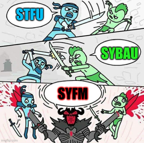 Sword fight | STFU; SYBAU; SYFM | image tagged in sword fight,stfu,sybau,syfm,memes,random | made w/ Imgflip meme maker