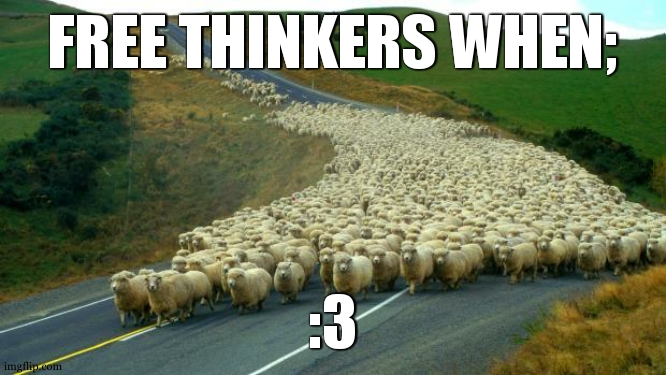 your move O... and everyone else i guess | FREE THINKERS WHEN;; :3 | image tagged in am ballin with adobe,not this though,and yet i still refuse to template | made w/ Imgflip meme maker
