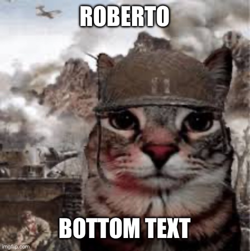 Roberto | ROBERTO; BOTTOM TEXT | image tagged in roberto | made w/ Imgflip meme maker