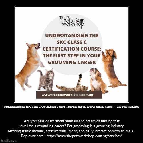 Understanding the SKC Class C Certification Course: The First Step in Your Grooming Career — The Pets Workshop | Are you passionate about an | image tagged in funny,demotivationals | made w/ Imgflip demotivational maker