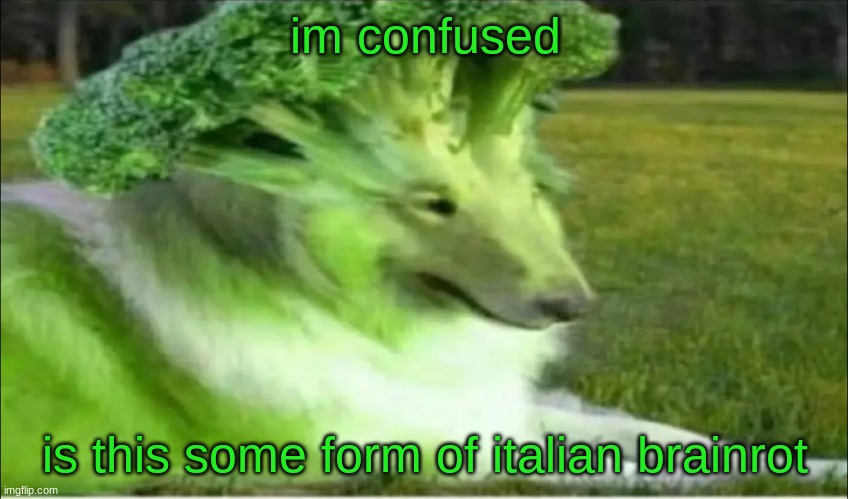 Broco dogo | im confused; is this some form of italian brainrot | image tagged in broco dogo | made w/ Imgflip meme maker