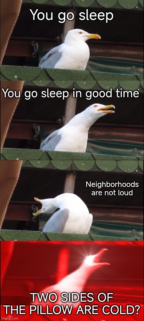 Sleeping meme | You go sleep; You go sleep in good time; Neighborhoods are not loud; TWO SIDES OF THE PILLOW ARE COLD? | image tagged in memes,inhaling seagull | made w/ Imgflip meme maker