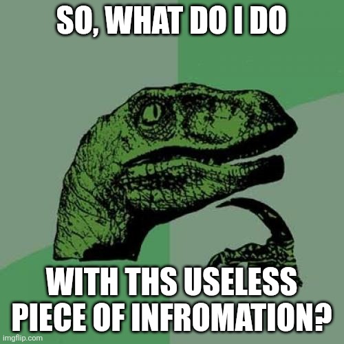 Philosoraptor Meme | SO, WHAT DO I DO WITH THS USELESS PIECE OF INFROMATION? | image tagged in memes,philosoraptor | made w/ Imgflip meme maker