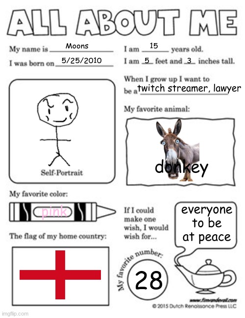 i boreb | Moons; 15; 5/25/2010; 5                3; twitch streamer, lawyer; donkey; everyone to be at peace; pink; 28 | image tagged in all about me template | made w/ Imgflip meme maker