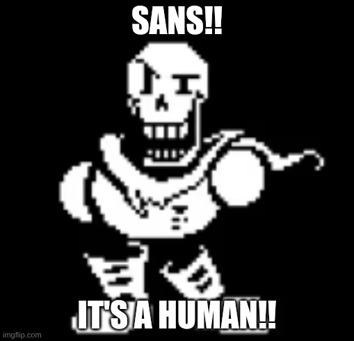 papus | SANS!! IT'S A HUMAN!! | image tagged in undertale | made w/ Imgflip meme maker