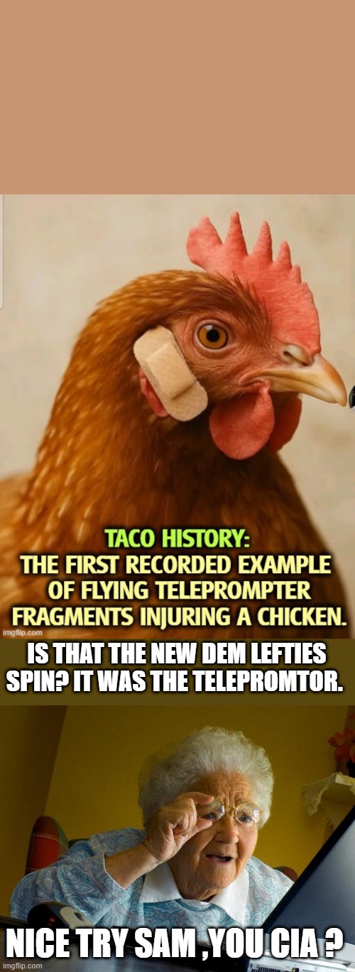 SAM has to be a bot.. | IS THAT THE NEW DEM LEFTIES SPIN? IT WAS THE TELEPROMTOR. NICE TRY SAM ,YOU CIA ? | image tagged in memes,grandma finds the internet | made w/ Imgflip meme maker