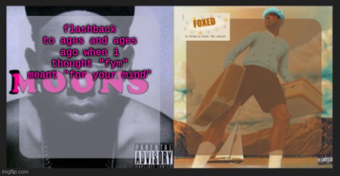 moons and foxed shared temp | flashback to ages and ages ago when i thought "fym" meant "for your mind" | image tagged in moons and foxed shared temp | made w/ Imgflip meme maker