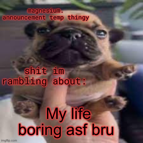 pug temp | My life boring asf bru | image tagged in pug temp | made w/ Imgflip meme maker