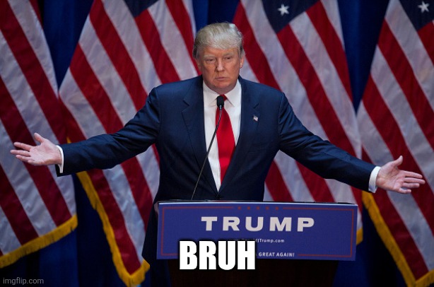 Donald Trump | BRUH | image tagged in donald trump | made w/ Imgflip meme maker