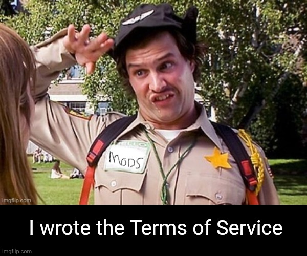 I wrote the Terms of Service | made w/ Imgflip meme maker