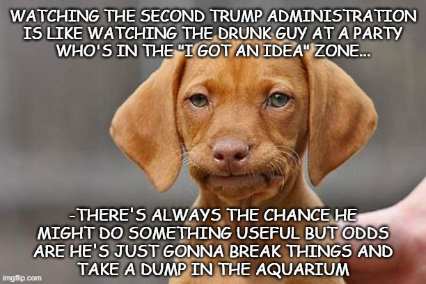 Tank parades... shutting down water testing labs... etc. | WATCHING THE SECOND TRUMP ADMINISTRATION
IS LIKE WATCHING THE DRUNK GUY AT A PARTY
WHO'S IN THE "I GOT AN IDEA" ZONE... -THERE'S ALWAYS THE CHANCE HE
MIGHT DO SOMETHING USEFUL BUT ODDS
ARE HE'S JUST GONNA BREAK THINGS AND
TAKE A DUMP IN THE AQUARIUM | image tagged in dissapointed puppy,trump unfit unqualified dangerous,incompetent,moron | made w/ Imgflip meme maker