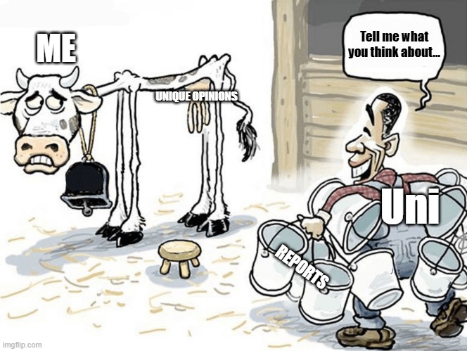Portfolio season | Tell me what you think about... ME; UNIQUE OPINIONS; Uni; REPORTS | image tagged in university,report,assignment,beating a dead horse,milking the cow | made w/ Imgflip meme maker