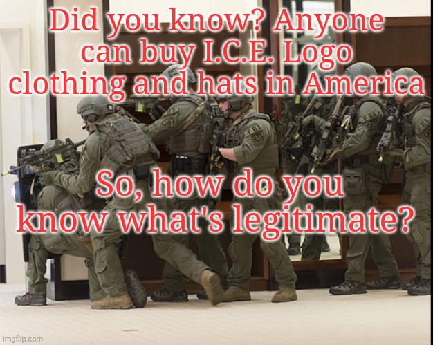 FBI SWAT | Did you know? Anyone can buy I.C.E. Logo clothing and hats in America; So, how do you know what's legitimate? | image tagged in fbi swat | made w/ Imgflip meme maker