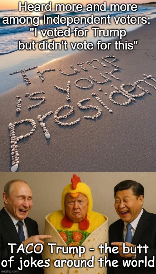 9w6hzu.jpg