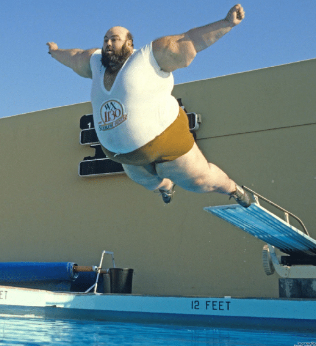 Fat Pool Jump Blank Meme Template