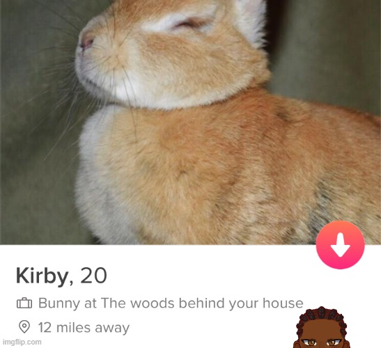 swipe or not | image tagged in tinder,dating | made w/ Imgflip meme maker