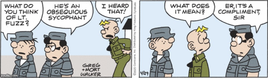Beetle Bailey | image tagged in comics | made w/ Imgflip meme maker