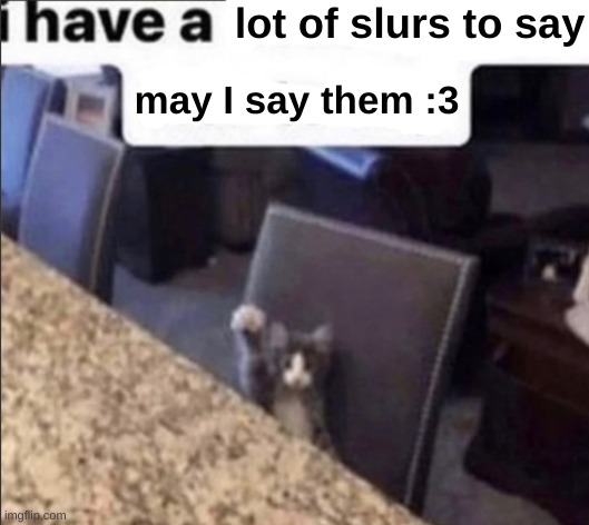 i have a blank | lot of slurs to say may I say them :3 | image tagged in i have a blank | made w/ Imgflip meme maker