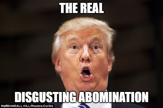 Disgusting Abomination | THE REAL; DISGUSTING ABOMINATION | image tagged in trump stupid face | made w/ Imgflip meme maker