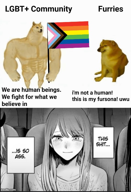 they are allies. this meme should not exist | image tagged in anti furry,this shit is so ass,lgbt,anime,furry | made w/ Imgflip meme maker